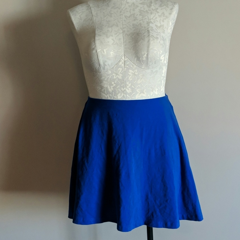 EXPRESS skirt